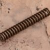 main spring
