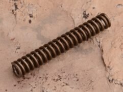 main spring