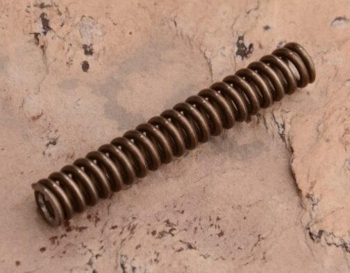 main spring