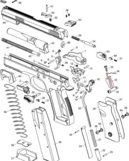CZ Magazine Catch Release Spring