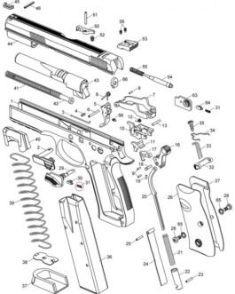 Safety Detent Plunger Spring