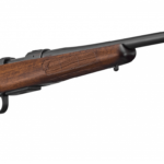 Amazing things you need to know about CZ 600 American