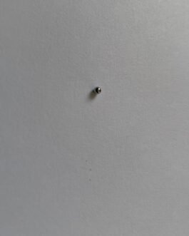 CZ 83 Steel Ball / Ball Bearing